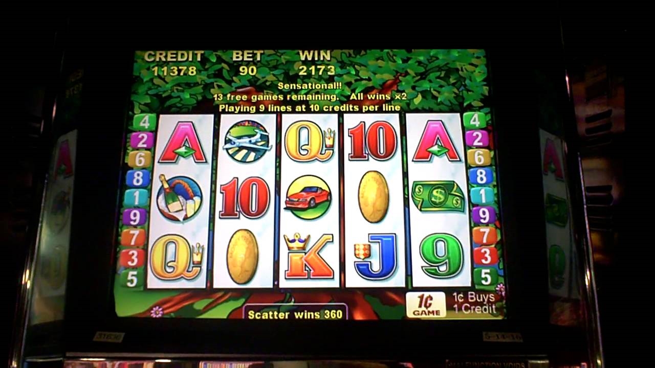 EURO 1730 888 Casino-da depozit casino bonusları yoxdur