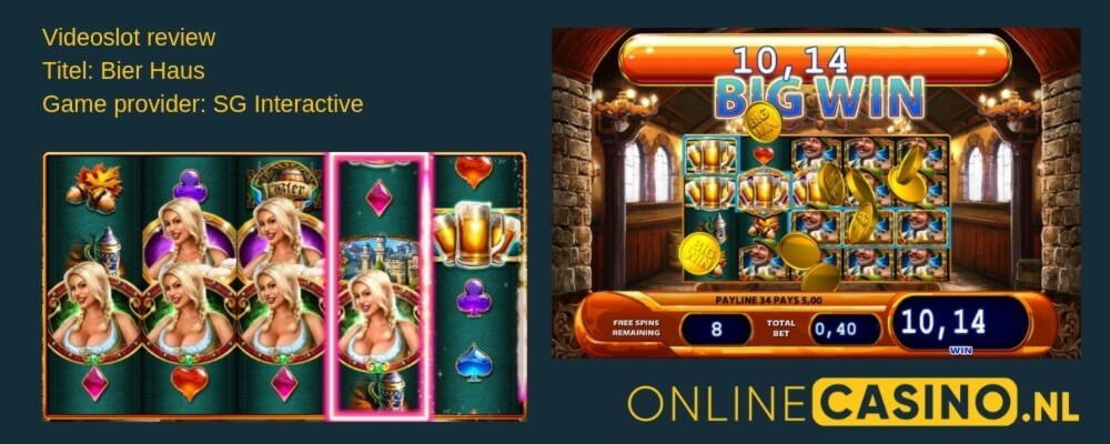 95% No Rules Bonus! at Miamidice