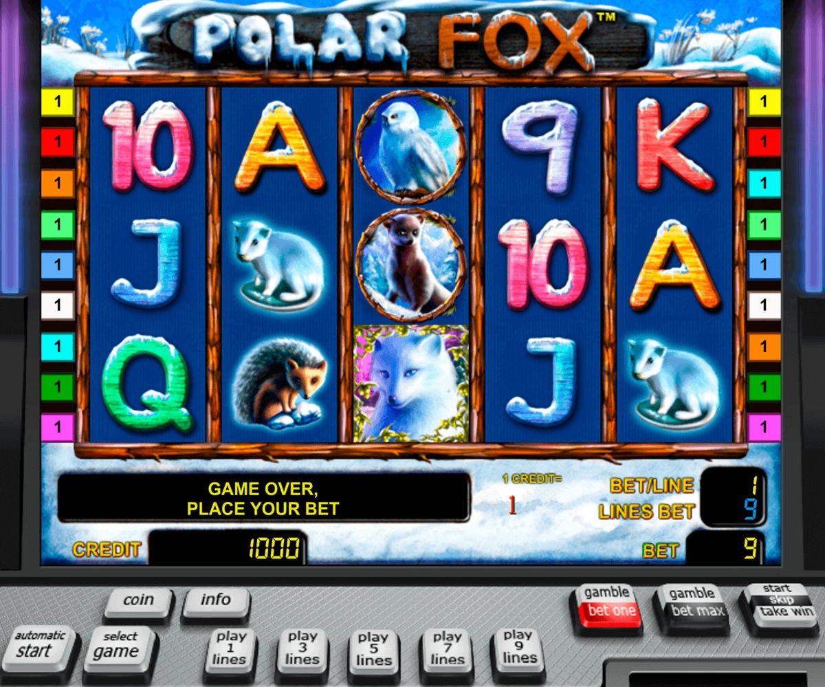290 free spins no deposit at Dream Vegas