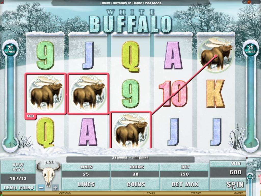 £99 No Deposit Bonus Code at Dream Vegas