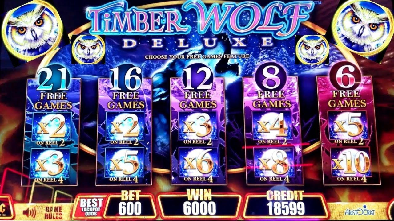 570% Match at a casino at Gate777