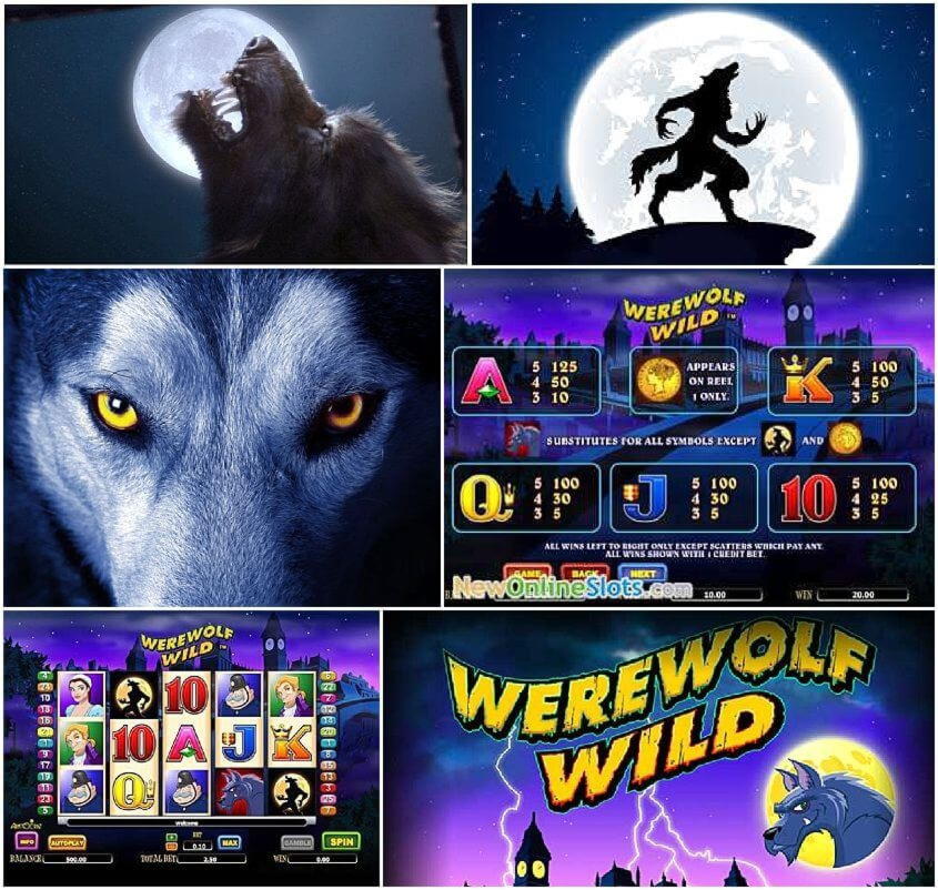 965% No Rules Bonus! at Casino.com