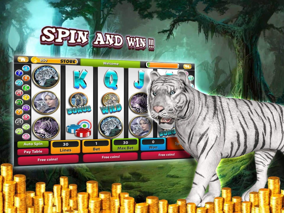 555% No Rules Bonus! at Desert Nights