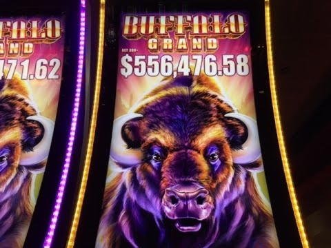 855% Casino match bonus at Red Stag