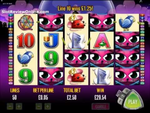 835% casino match bonus at Casino.com