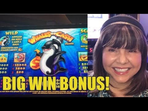 250% First Deposit Bonus at Gamebookers