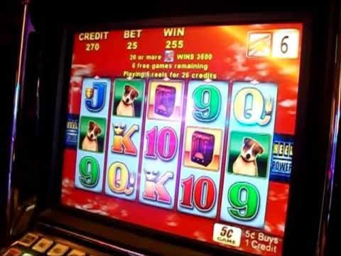 $780 Casino tournaments freeroll at Desert Nights