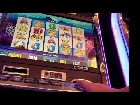 Eur 2490 No Deposit Bonus Code at Casino.com