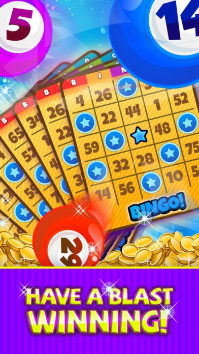 €200 Free Money at Zingo Bingo