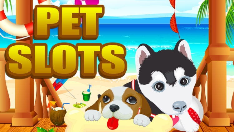 €795 Free Casino Tournament at V Bet