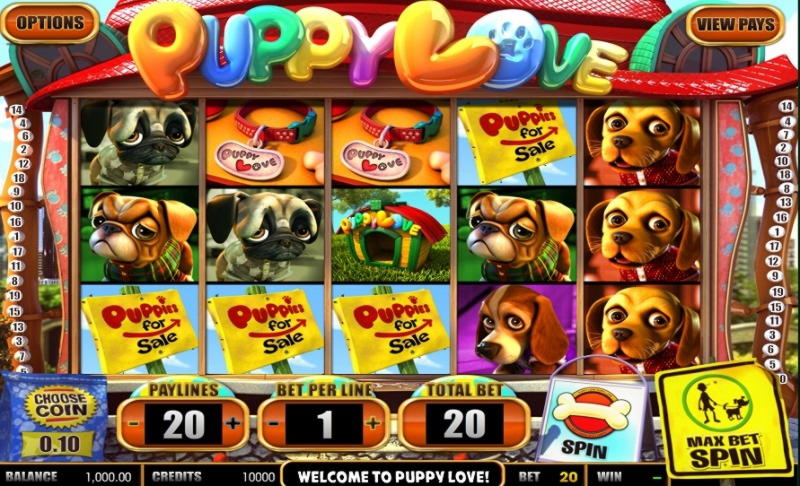 € 135 Casino turneringar freeroll på 24 VIP Casino