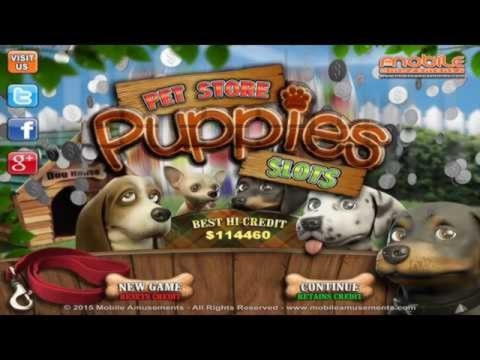 690% bonus w kasynie w AfriCasino