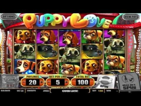 EURO 725 Gratis Casino Turnering på Ninja Casino