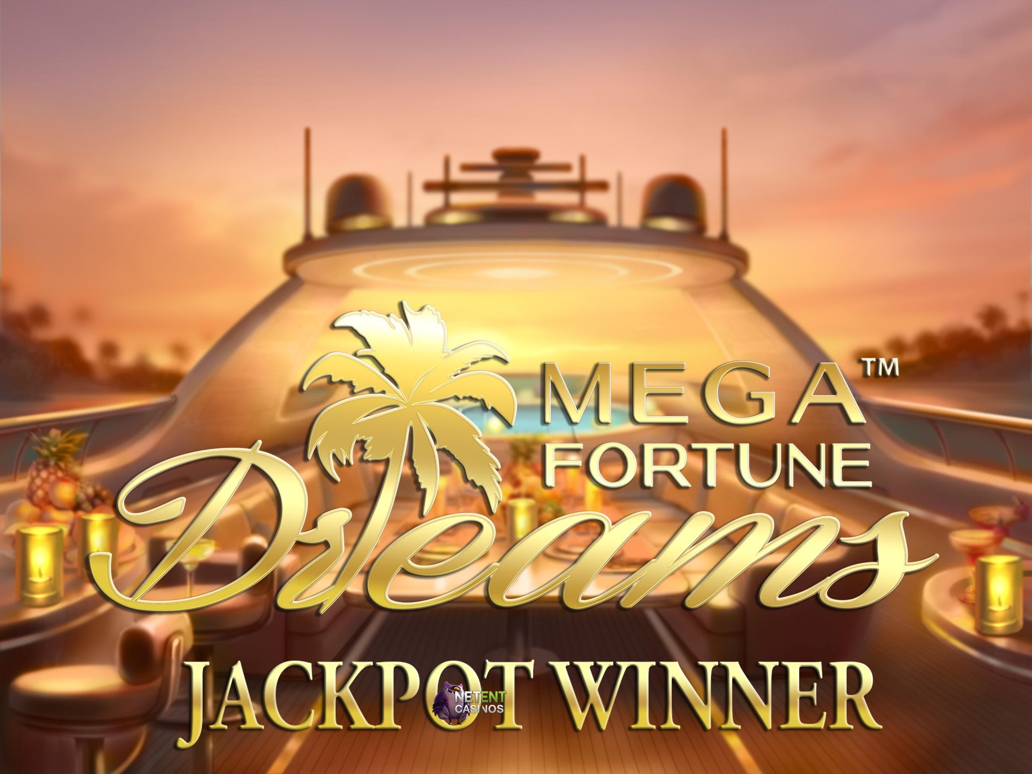 $ 4885 Ingen insättningsbonus vid Wild Slots