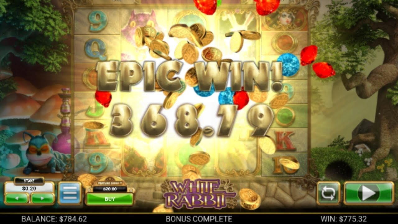 € 565 Ingen insättningsbonus på Prime Slots