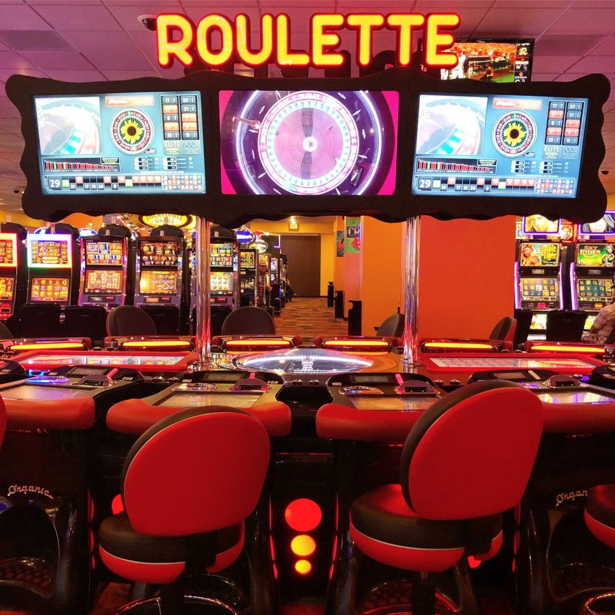 € 655-turnering vid X Bet