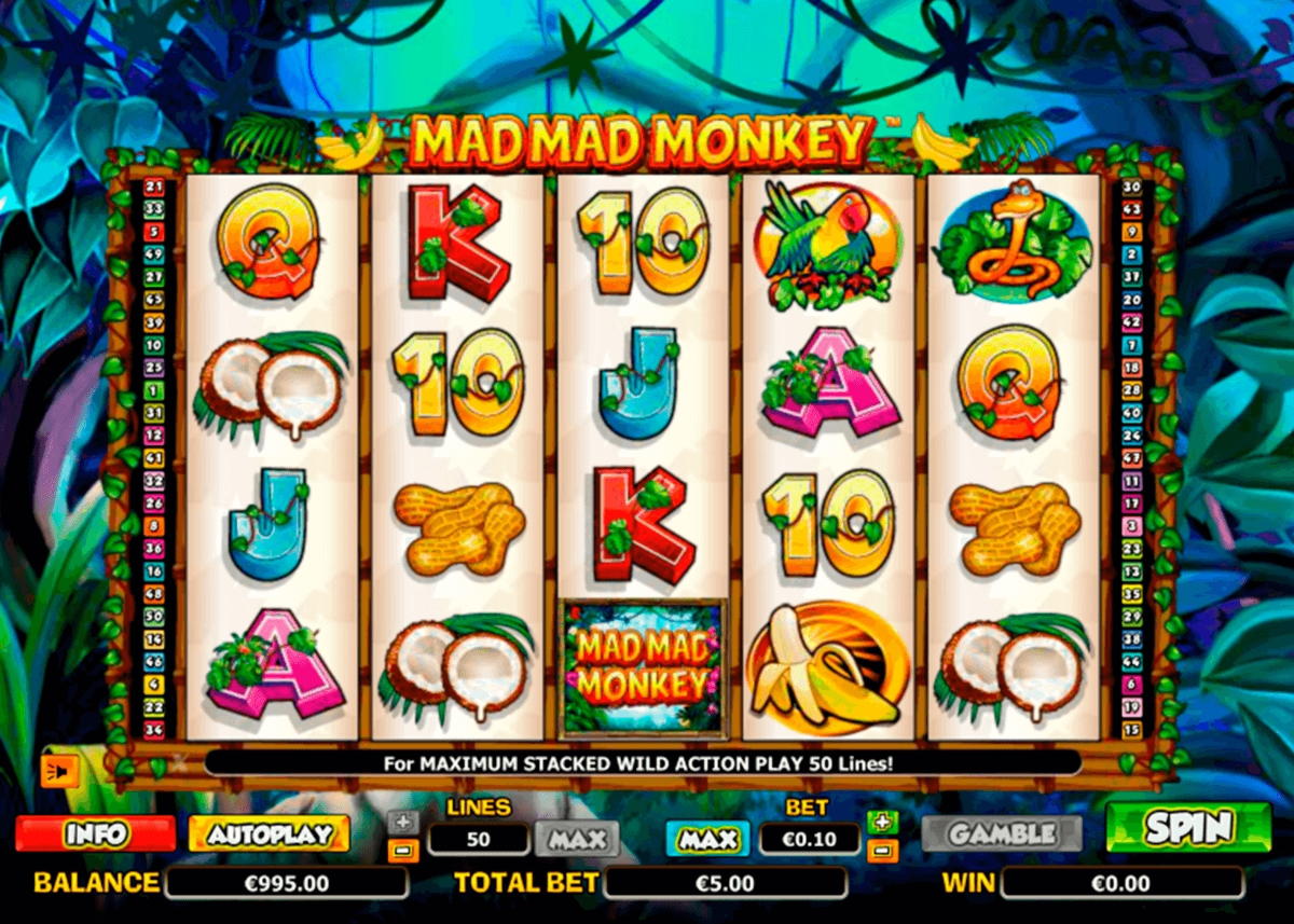 $655 Tournament at Paradise 8