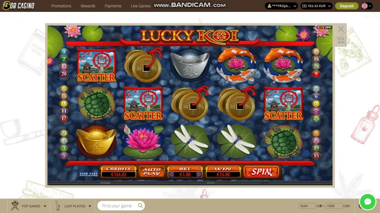 245 Free Casino-spinn i 24 VIP Casino