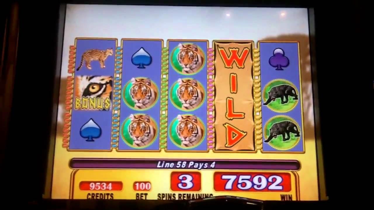 €1650 no deposit casino bonus at Villa Fortuna Casino