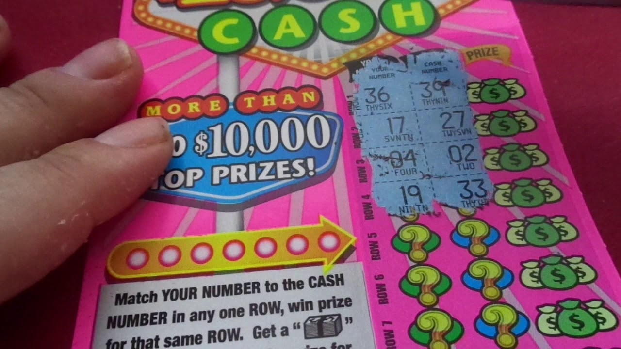 995% No Rules Bonus! at Casino Dingo