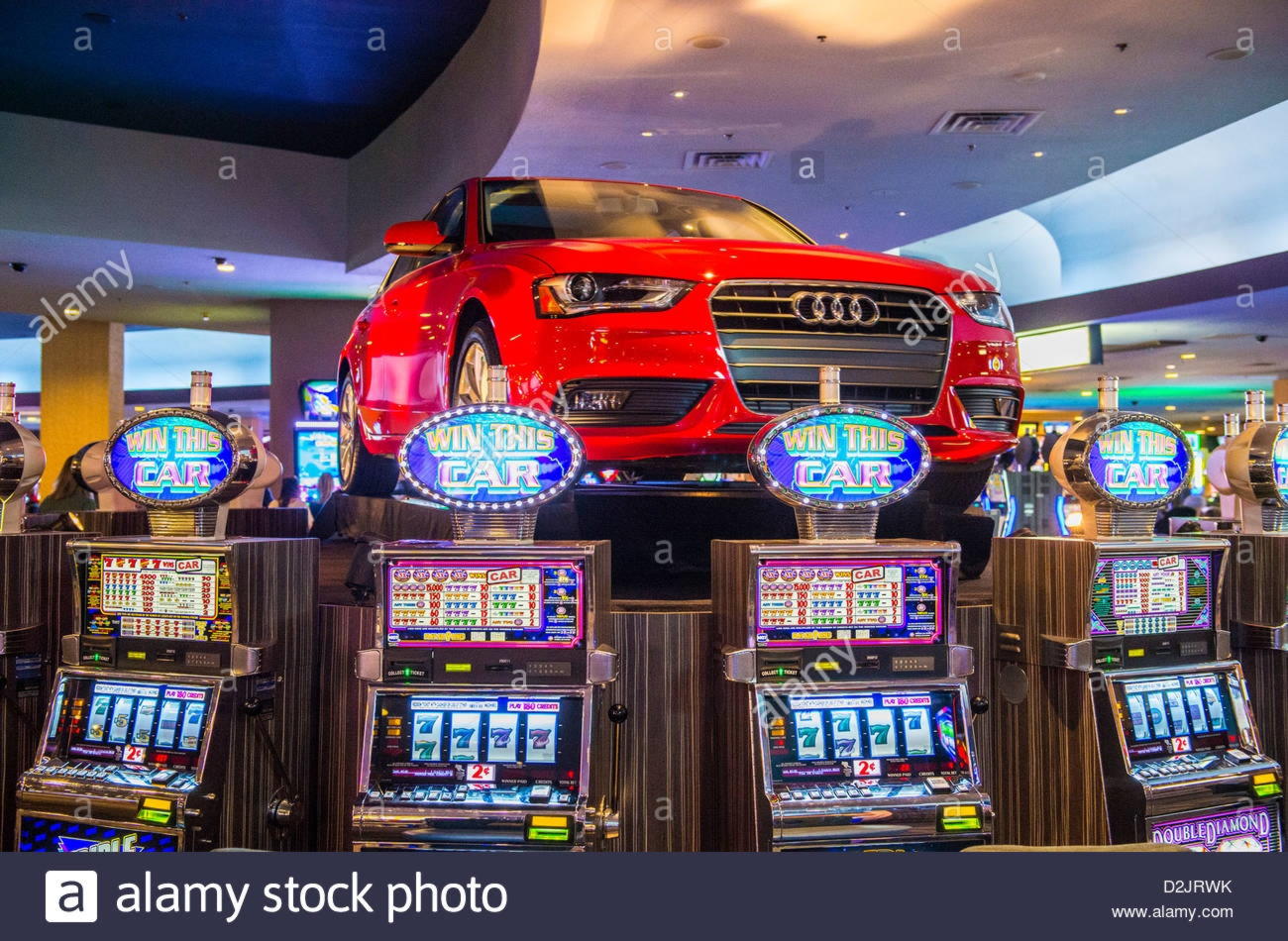 305% No Rules Bonus! at Slotter