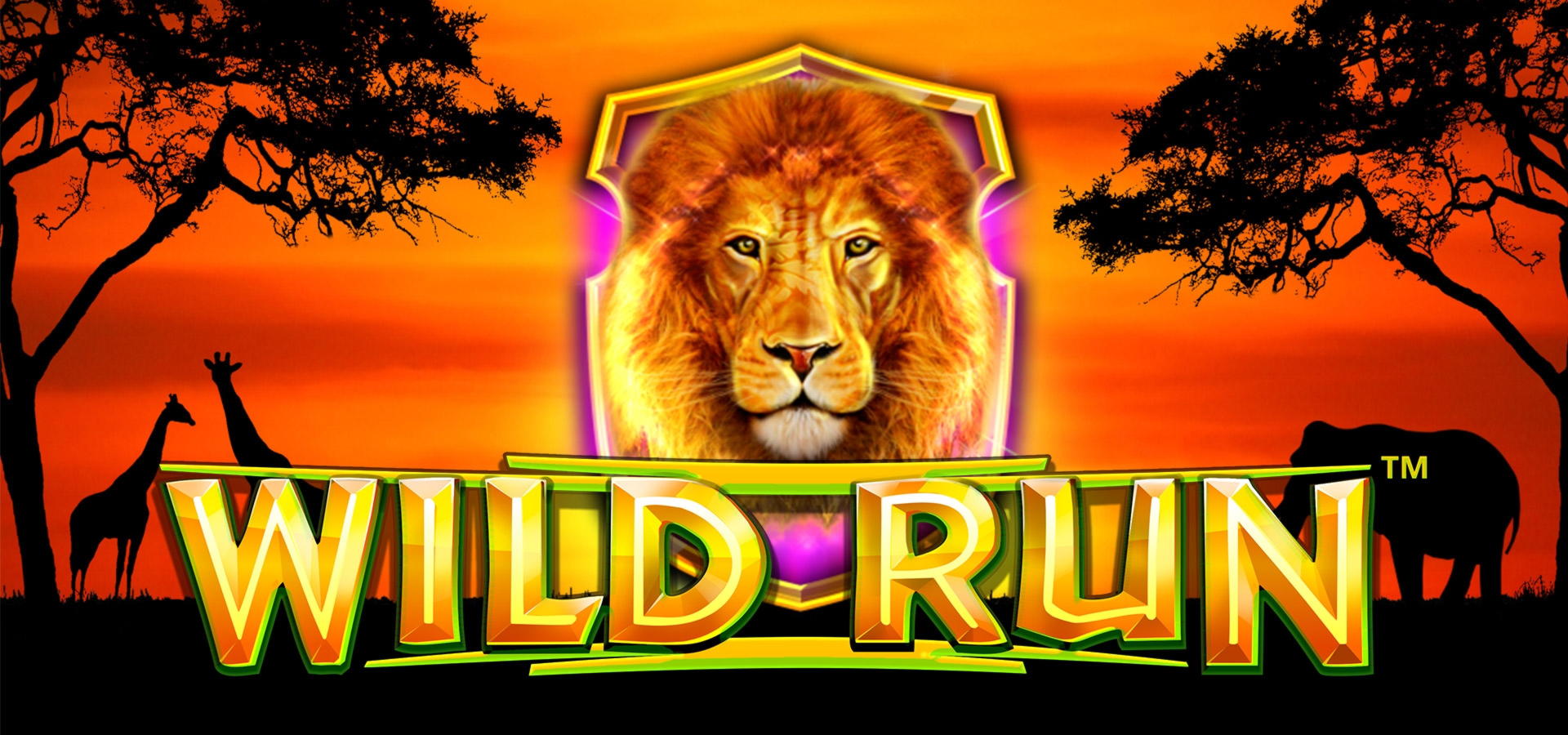 €175 Tournament at Hippozino