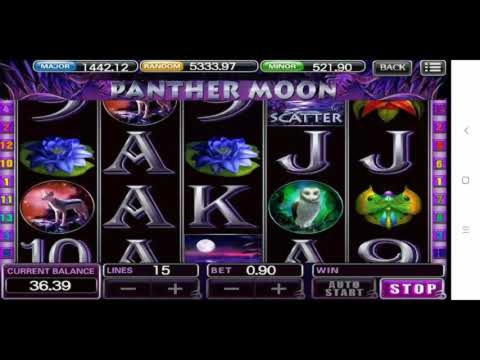 $222 Casino tournaments freeroll at Zingo Bingo