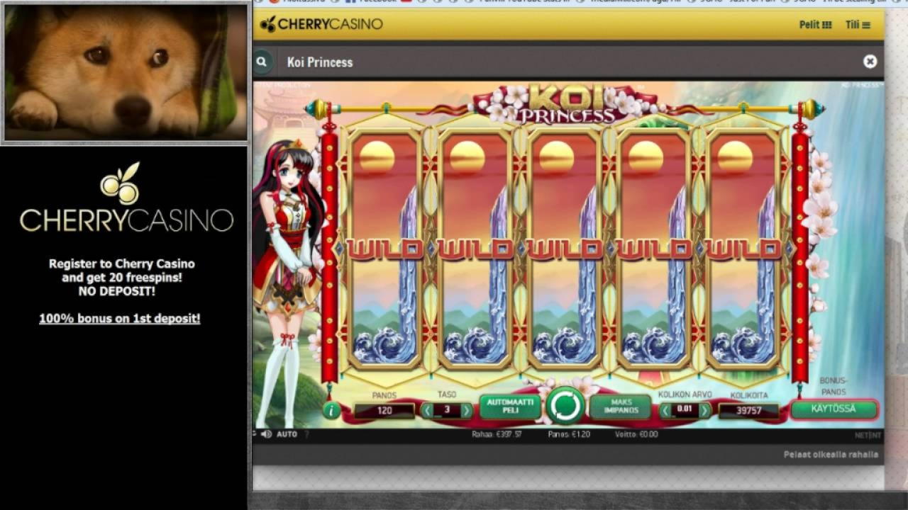 $90 Mobile freeroll slot tournament at Bet Master