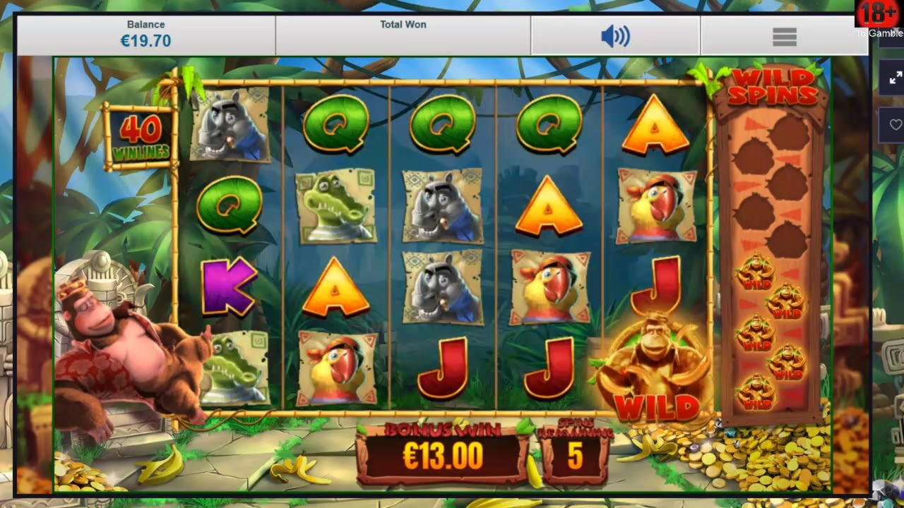 20 free spins casino at Wild Blaster