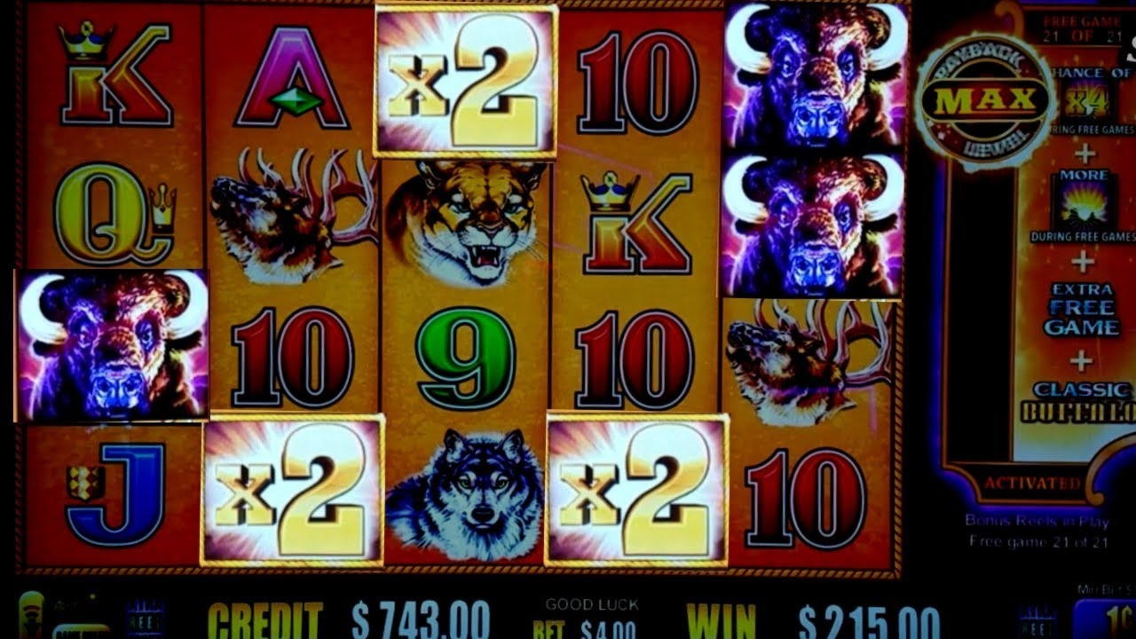 $1620 no deposit bonus code at Casino Dingo