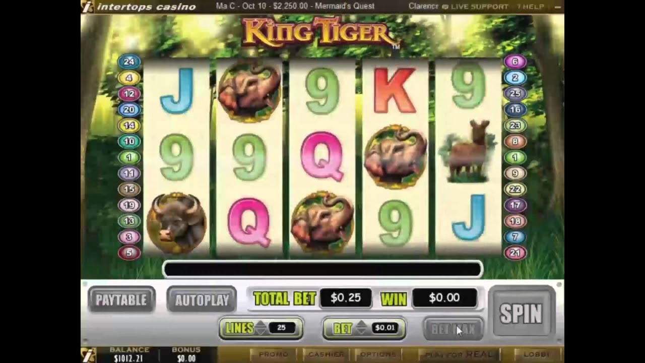 $920 No deposit bonus casino at Spin Princess