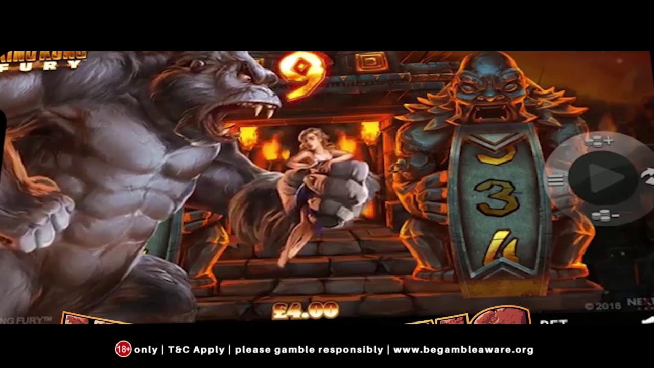 $ 455 Online Casino turnering på Loki Casino