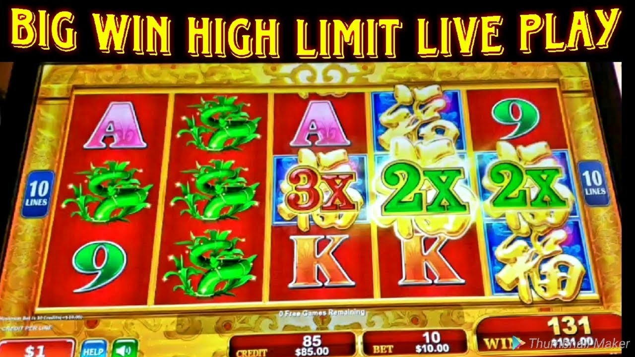 $ 3450 Ingen insättning kasino bonus på My Bookie