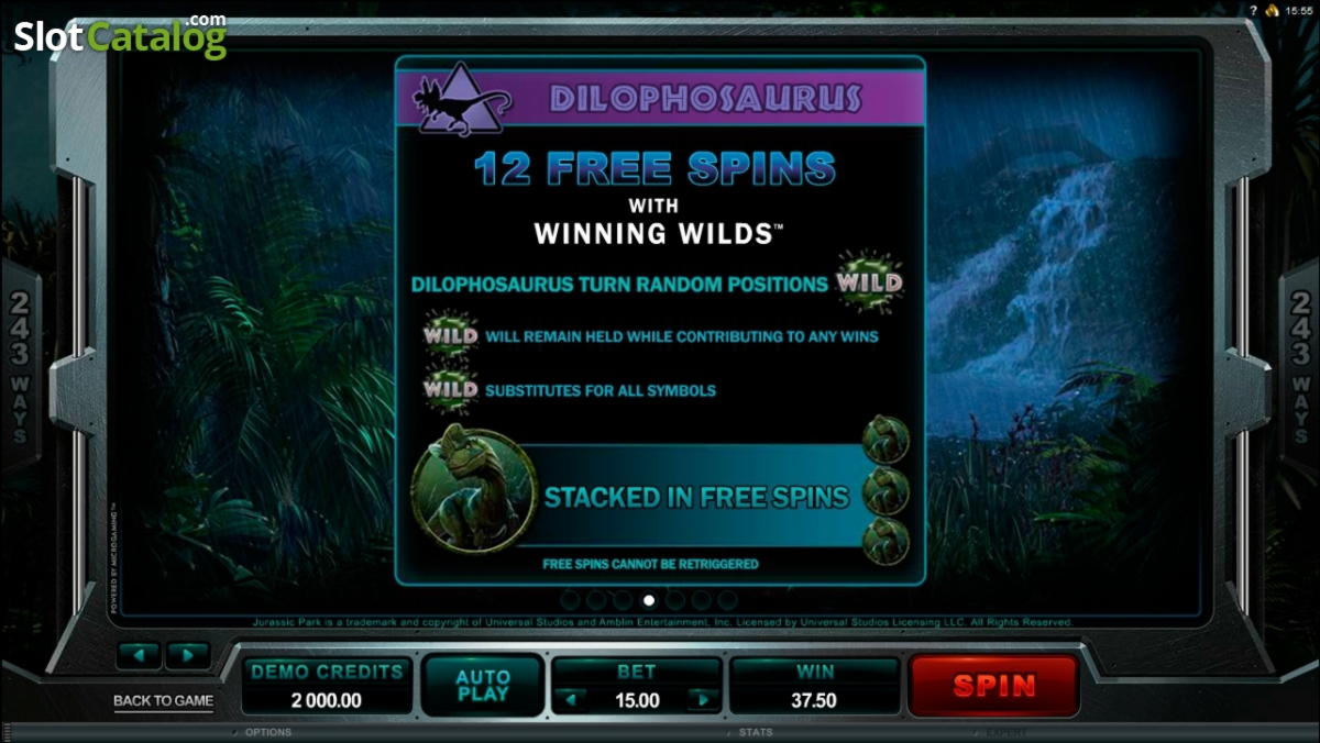 660% Match at a casino at Wow Bingo