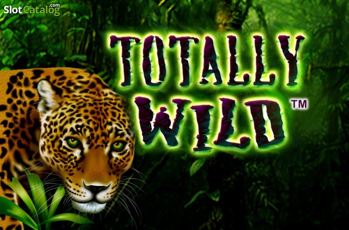$715 Free Casino Tournament at Webby Slot