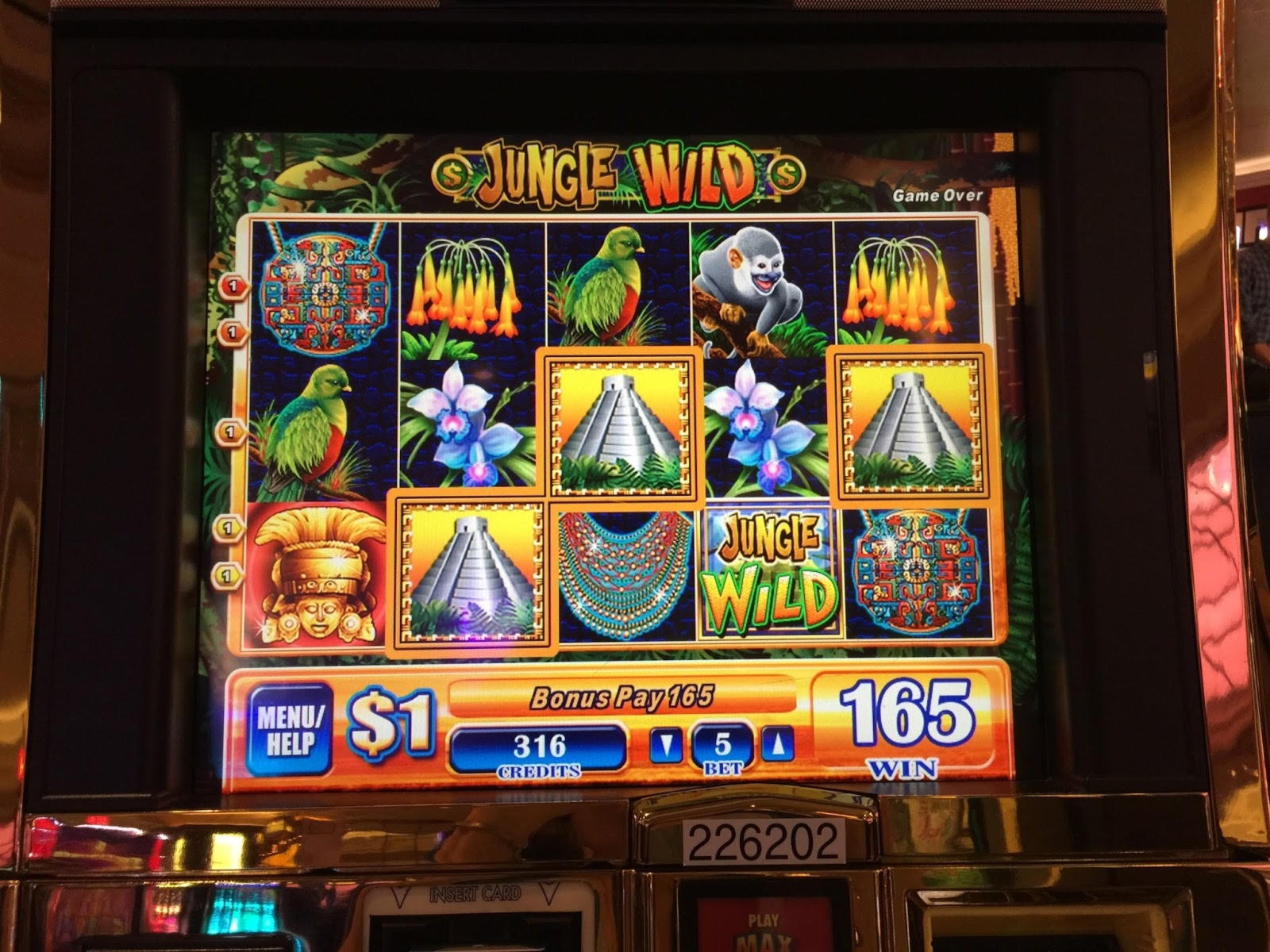 220 FREE SPINS at Big Dollar Casino