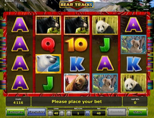 55 Free Spins Casino på AfriCasino