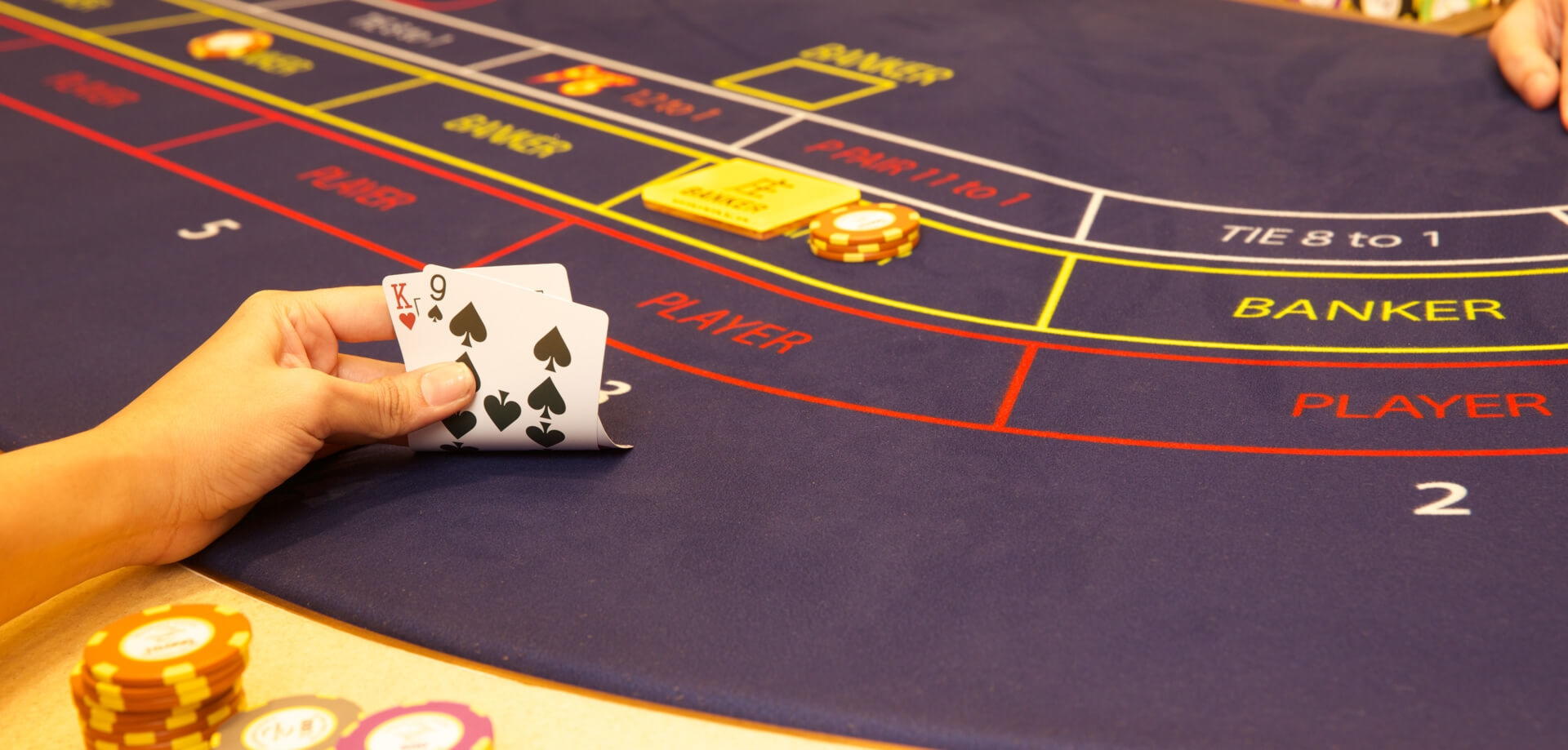 255% Match bonus at Net Bet