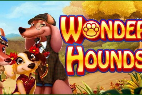 810% Best signup bonus casino at K8 Casino