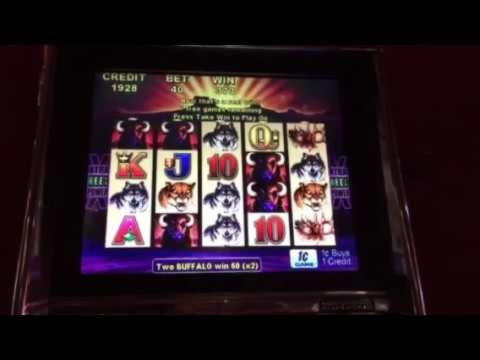 $250 Casino chip at LSbet