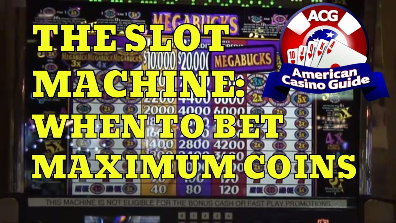 55 free spins no deposit casino at Casino Dingo