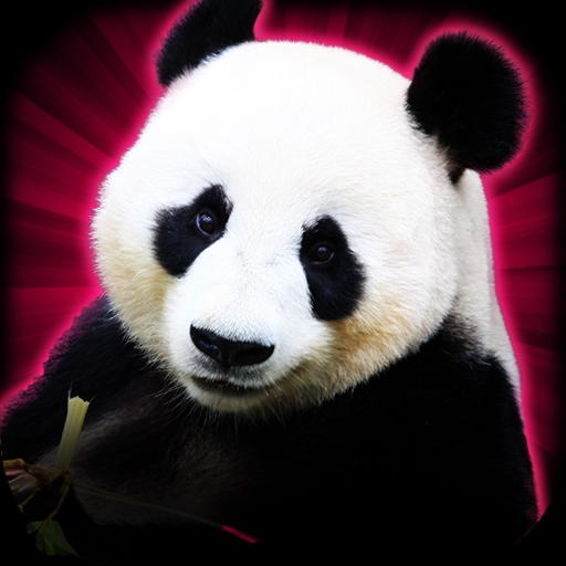 75 free casino spins at Frank&amp