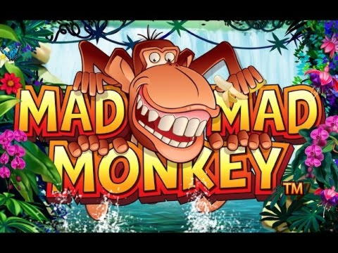 540% Bonus za dopasowanie do depozytu w Reload Bet