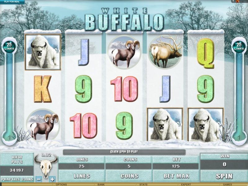 €645 FREE CHIP CASINO at This Is Vegas