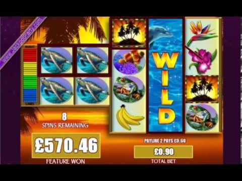 £1930 No Deposit at Guns Bet