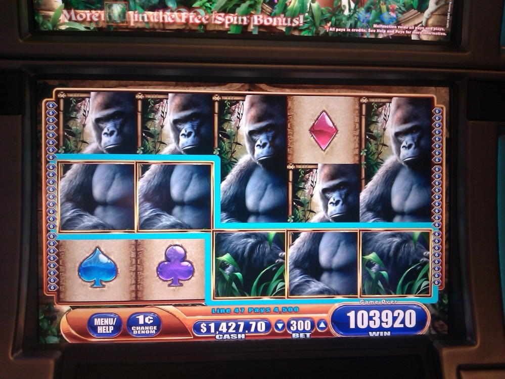 295 Free Spins right now at BGO Casino