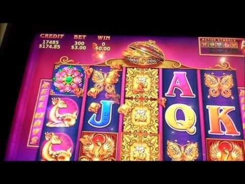 815% bonus w kasynie w X Bet