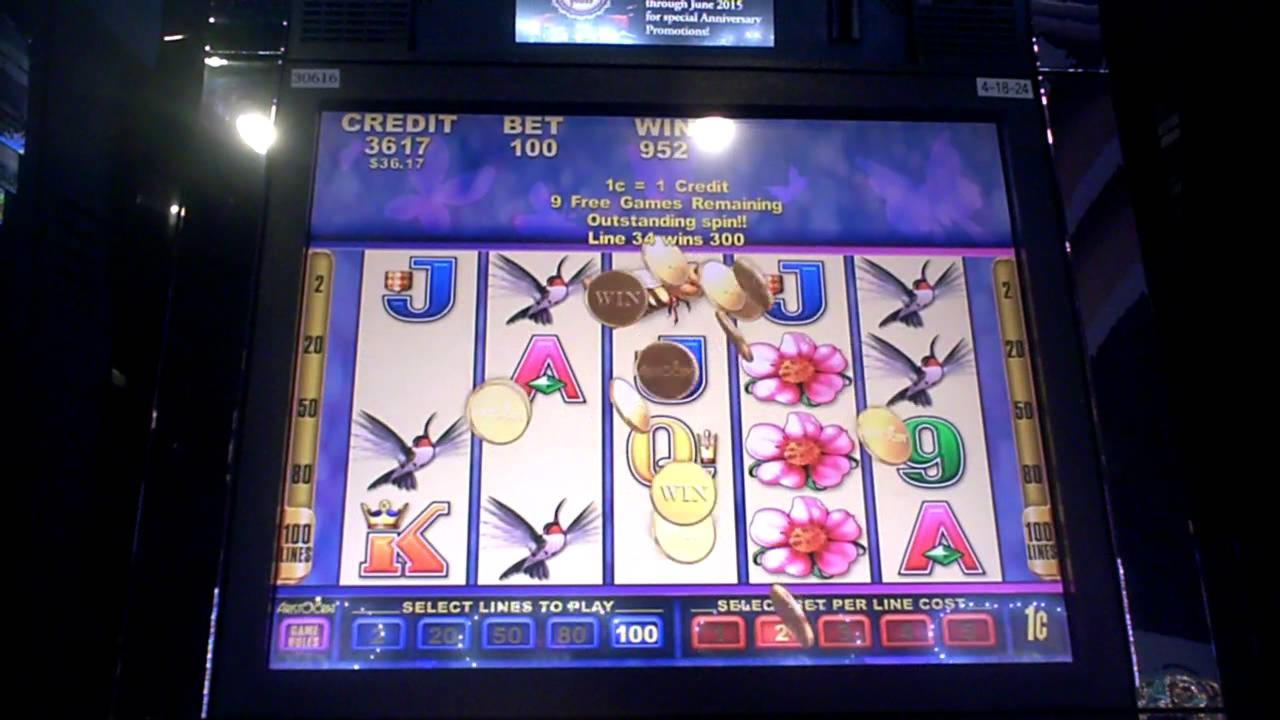 Eur 305 Free chip casino at Bonanza Game