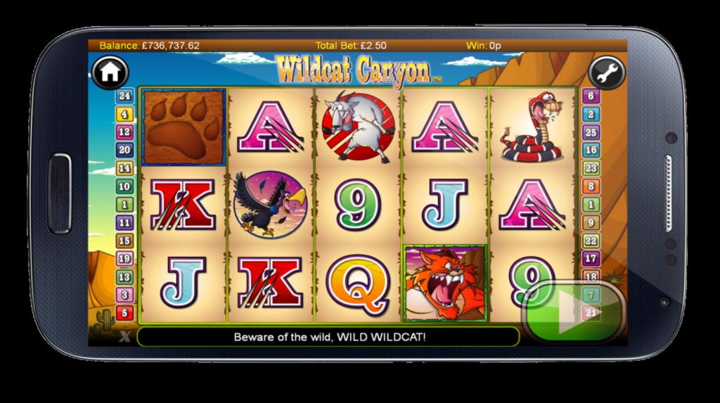 295 free spins at Villa Fortuna Casino