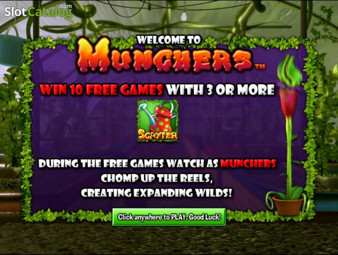 55 Free spins casino at Frank&amp